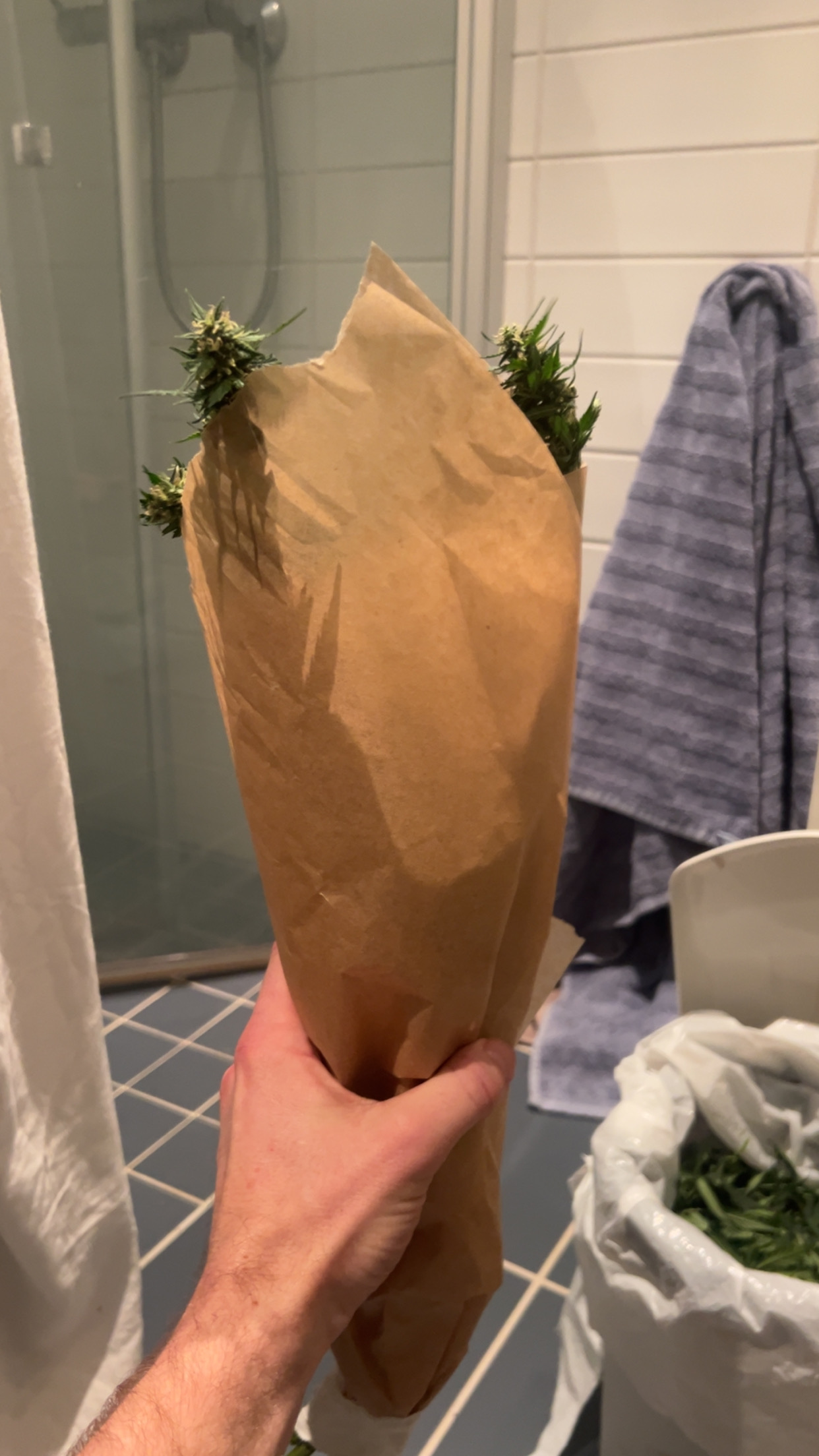 HARVEST COMPLETED 2