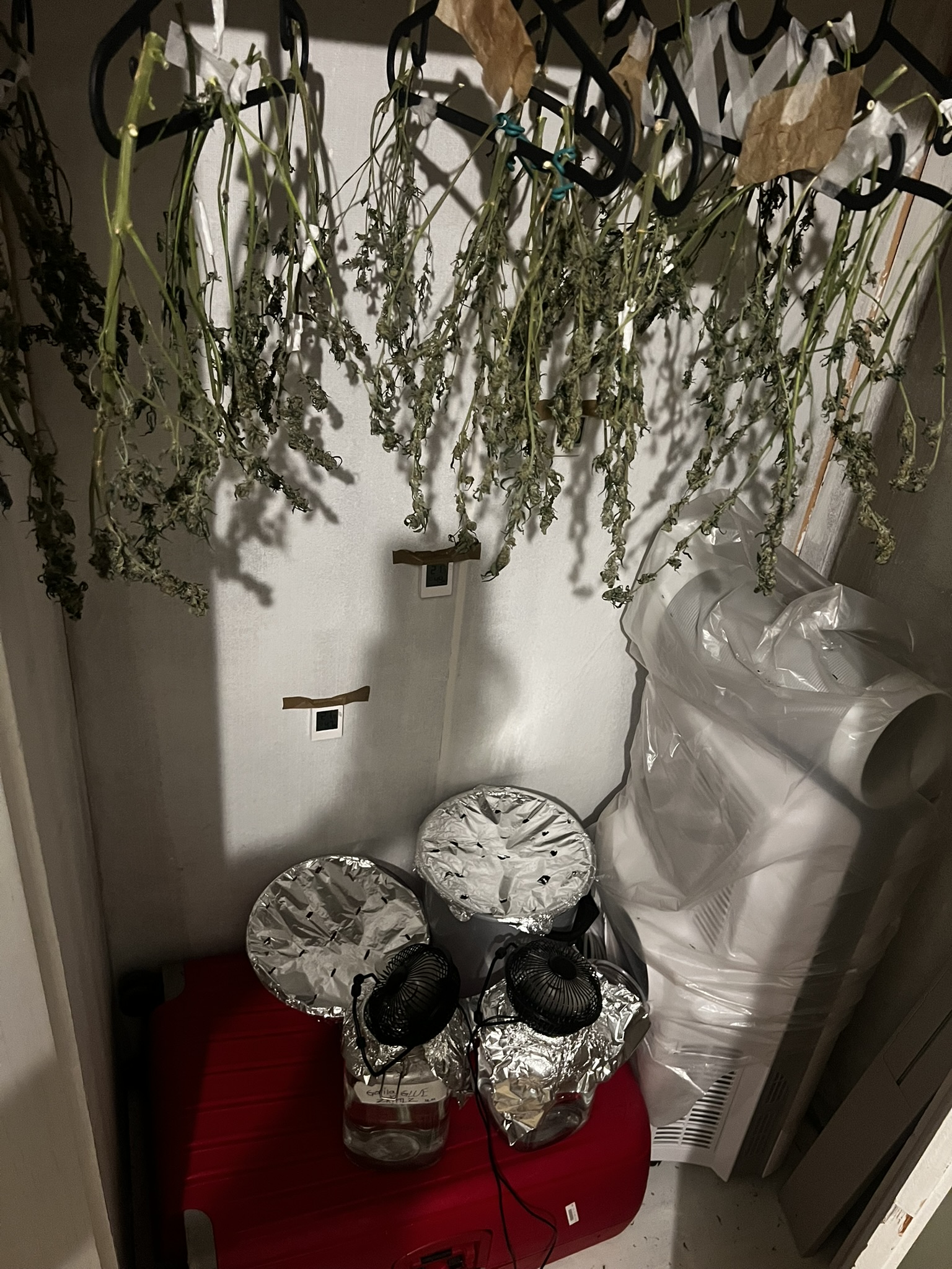 HARVEST COMPLETED 2