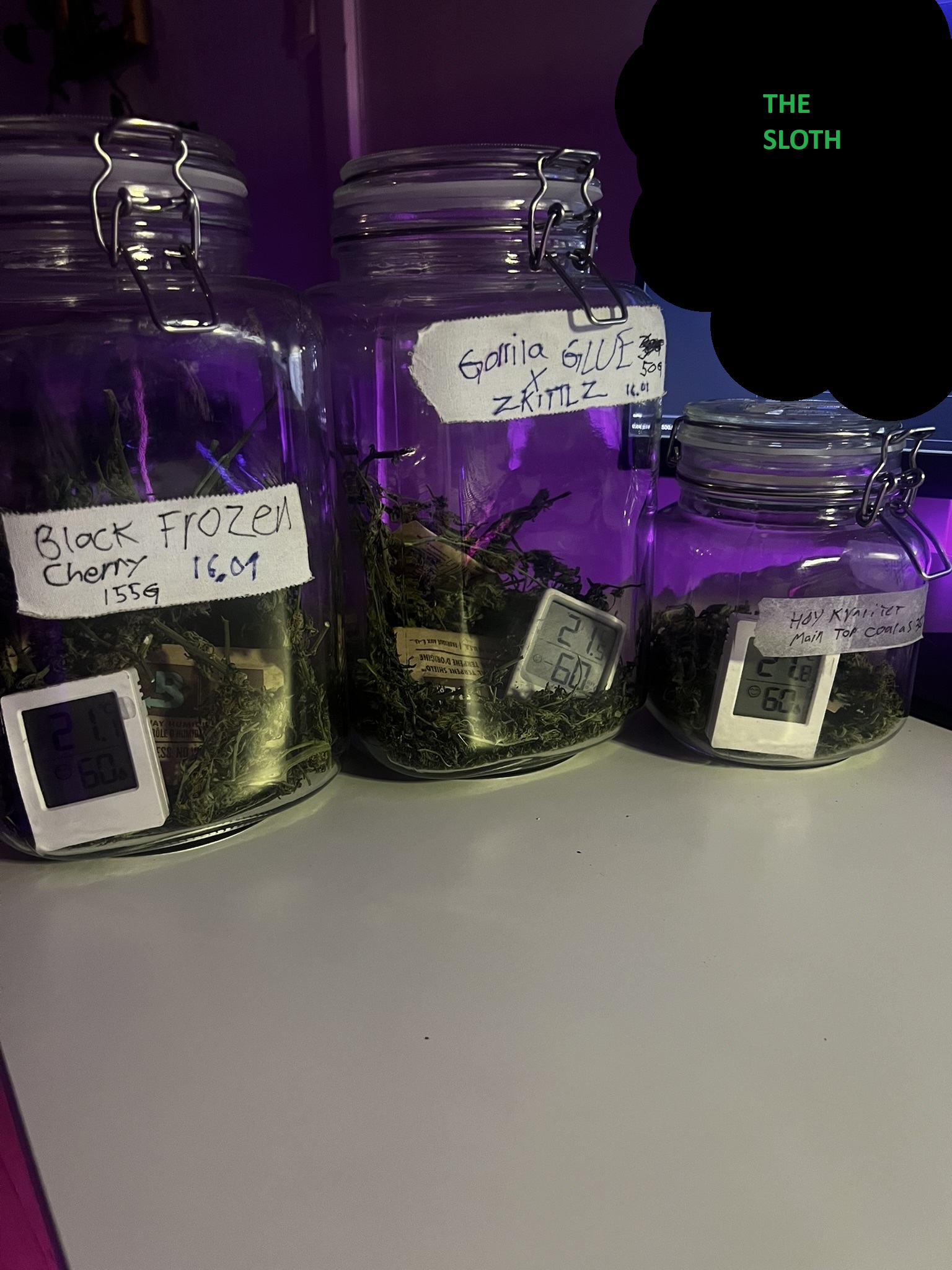 HARVEST COMPLETED 2