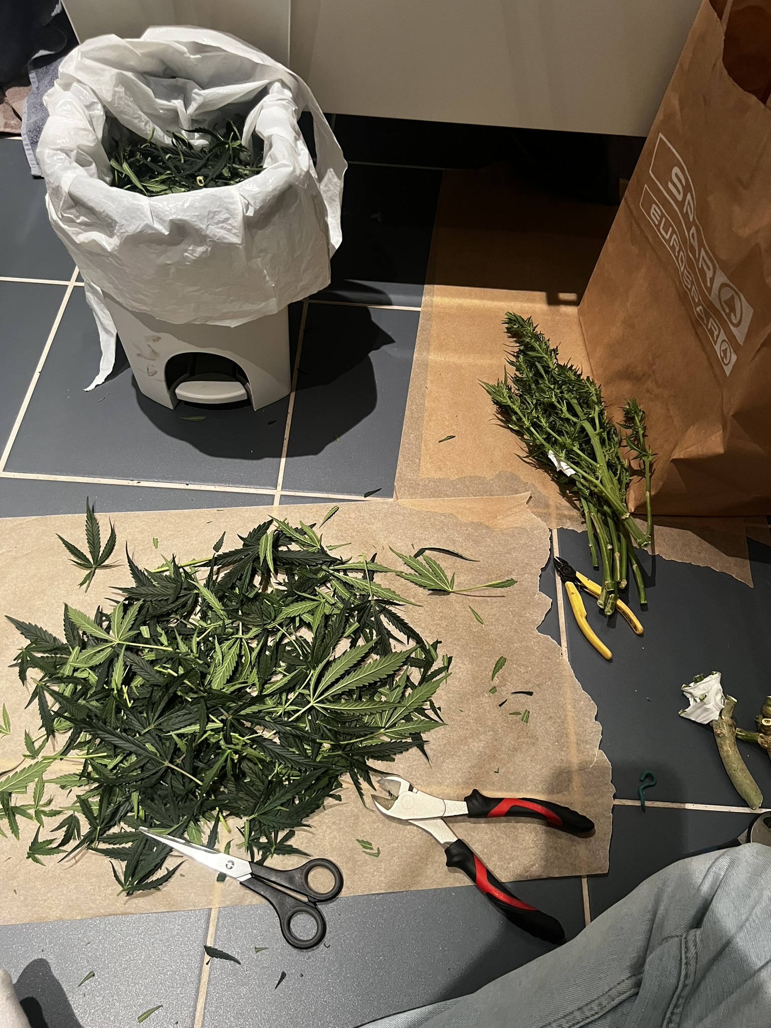 HARVEST COMPLETED 2