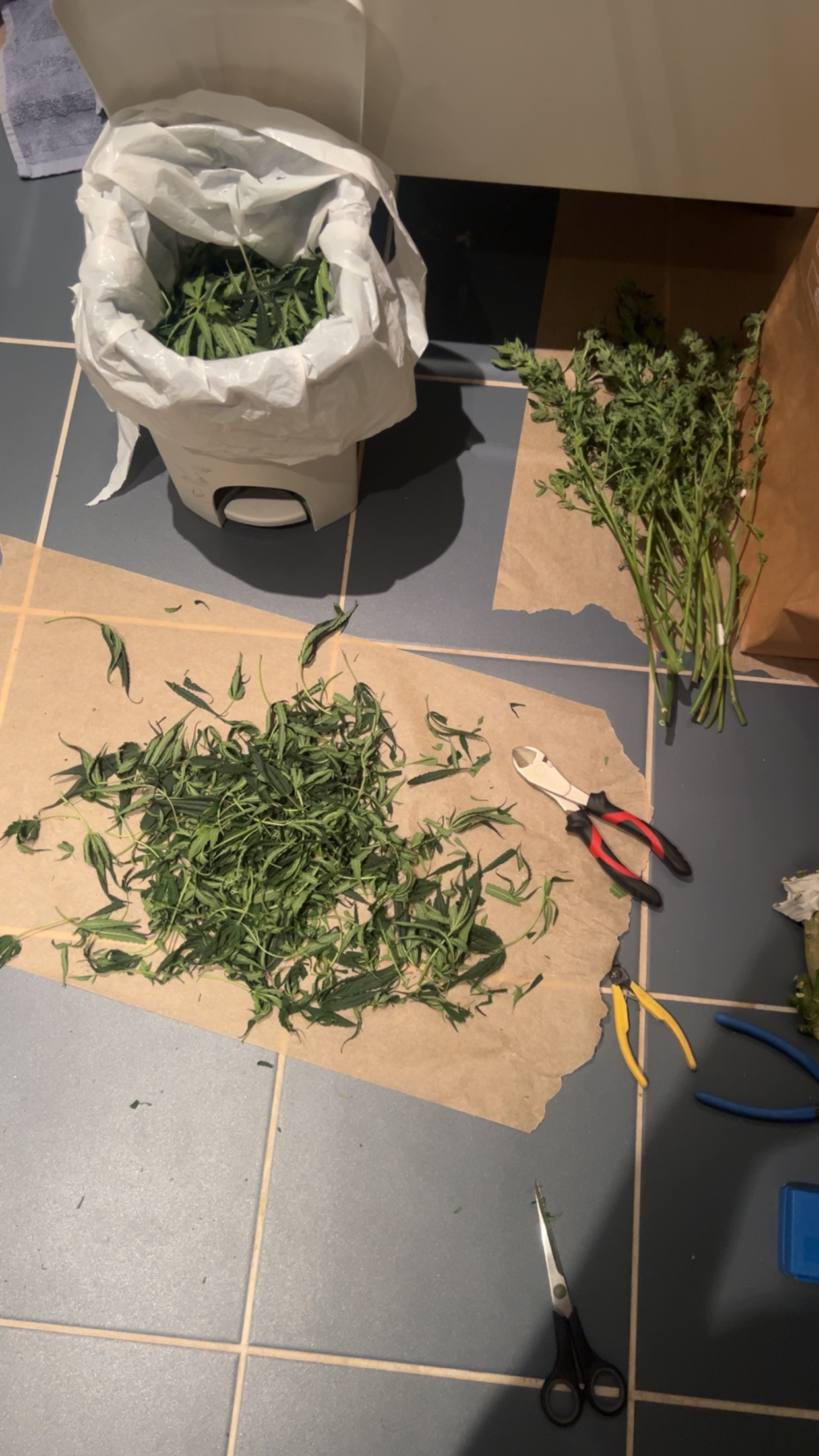 HARVEST COMPLETED 2