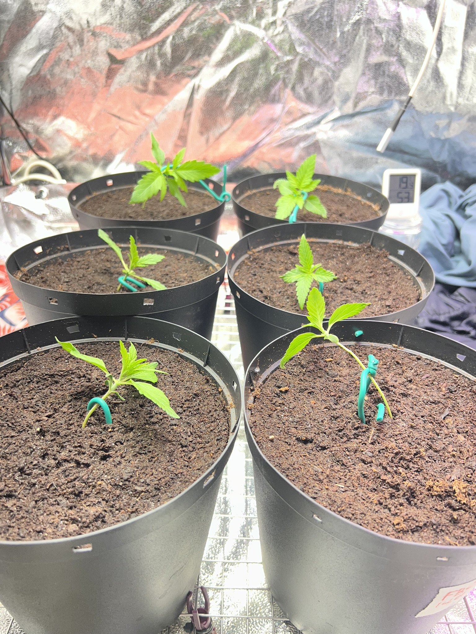 LST 1