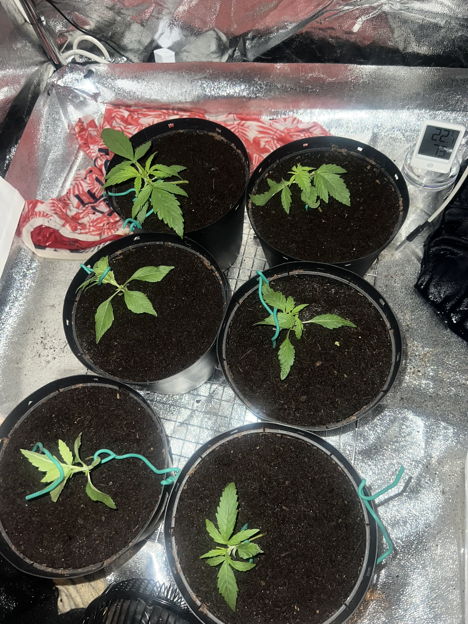 LST 2